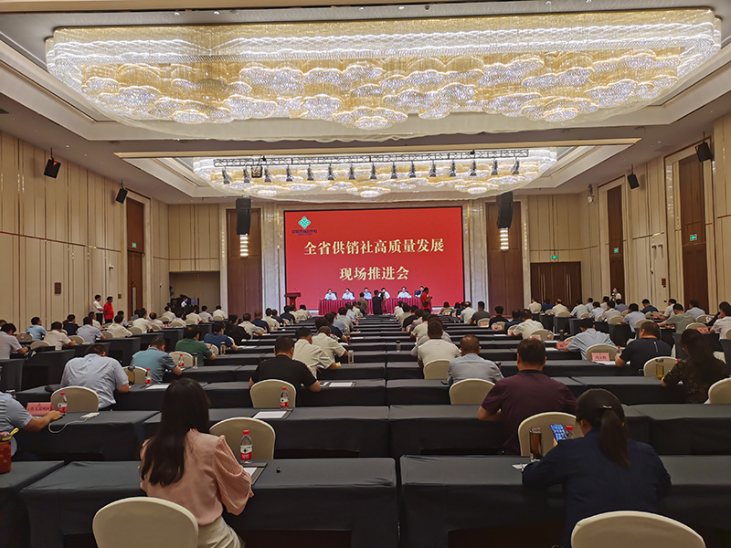 全省供销社高质量发展现场推进会